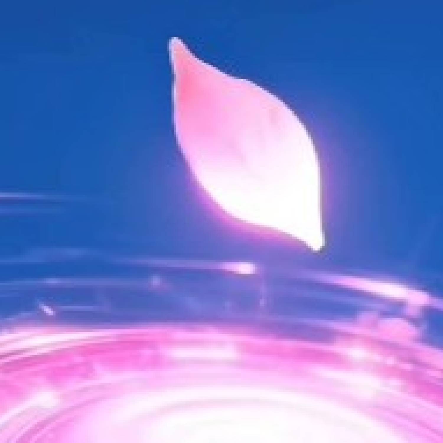 Celebrating Sifu's Birthday: A Heartfelt Tribute on His Special Day